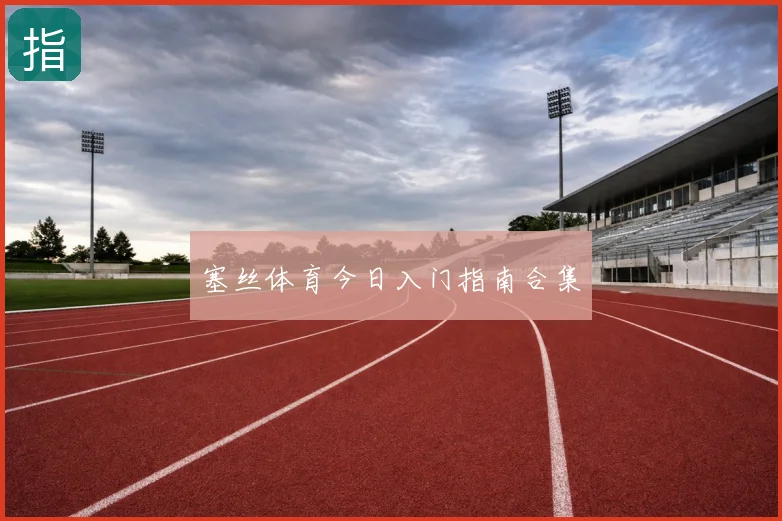 塞丝体育今日入门指南合集
