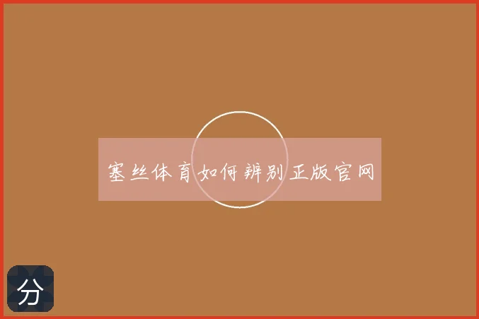 塞丝体育如何辨别正版官网